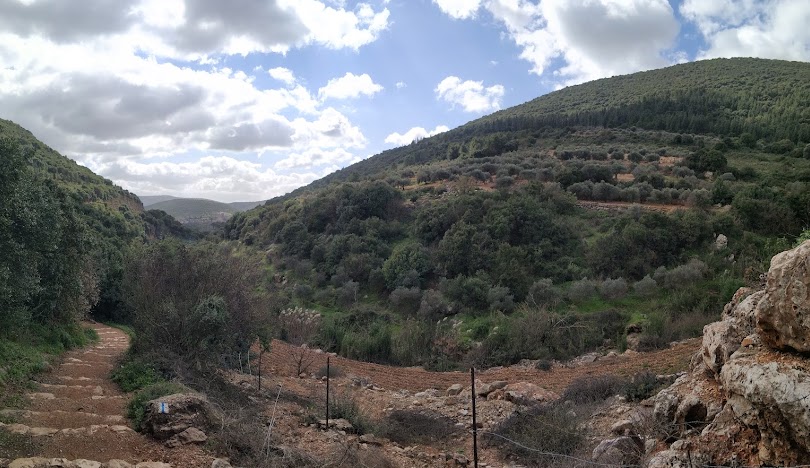 قرية عيلبون / موسوعة القرى الفلسطينية